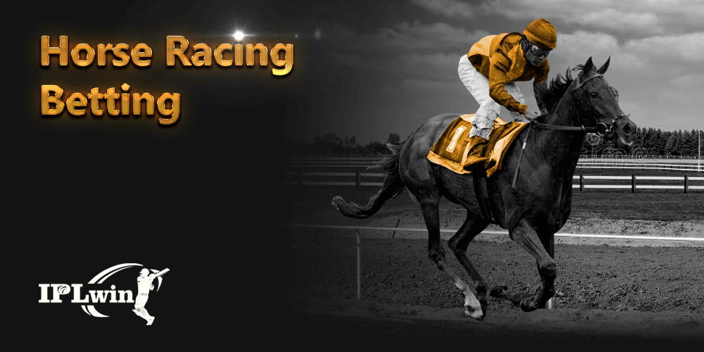 tipbet