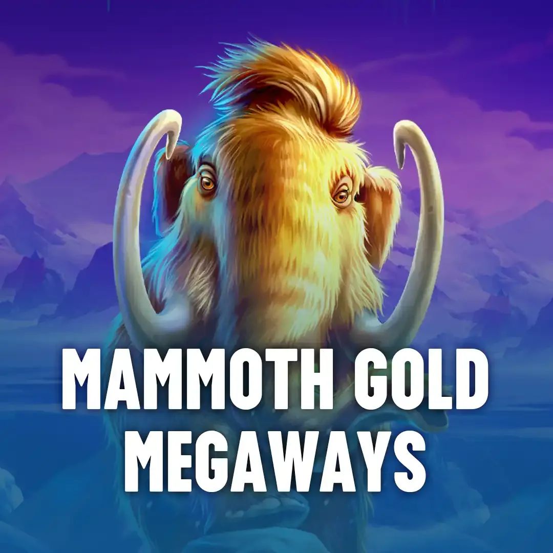 leonbet login